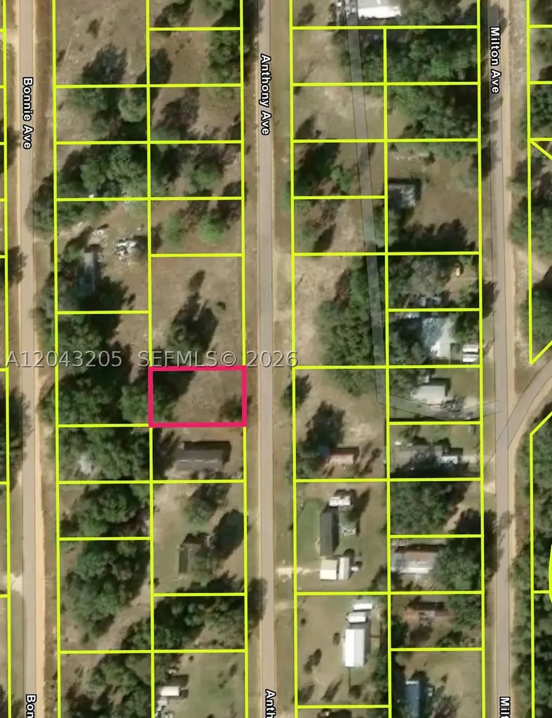 0 Anthony Avenue Other City - In The State Of Florida FL 32148