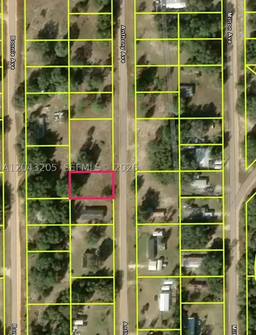 0 Anthony Avenue Other City - In The State Of Florida FL 32148