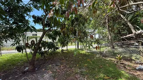 980 NE 146th Street North Miami FL 33161