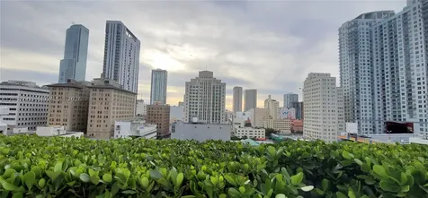 50 Biscayne Boulevard Miami FL 33132