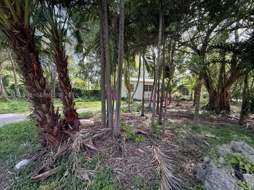 6600 SW 64th Court South Miami FL 33143