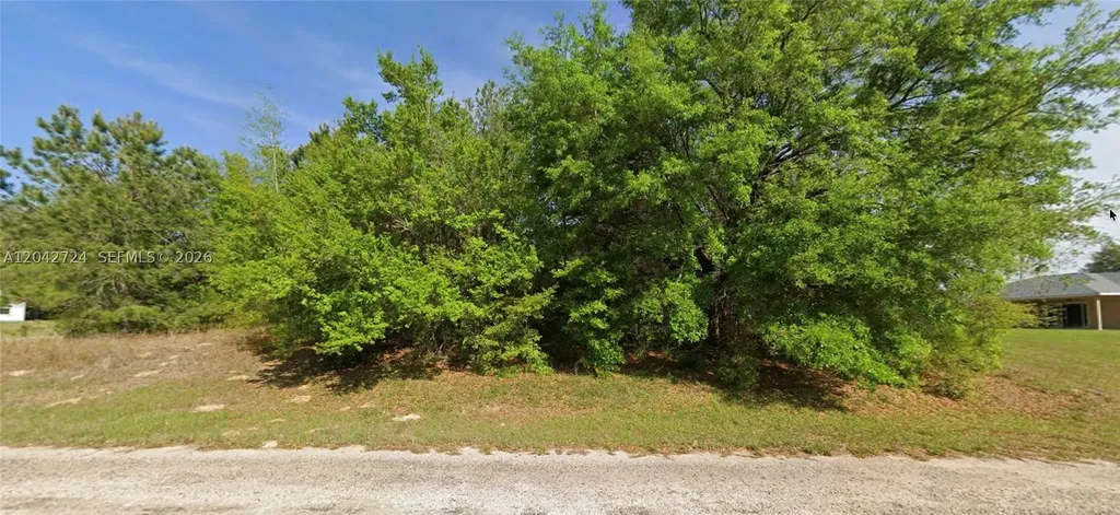 689 E Hope Place Other City - In The State Of Florida FL 34434