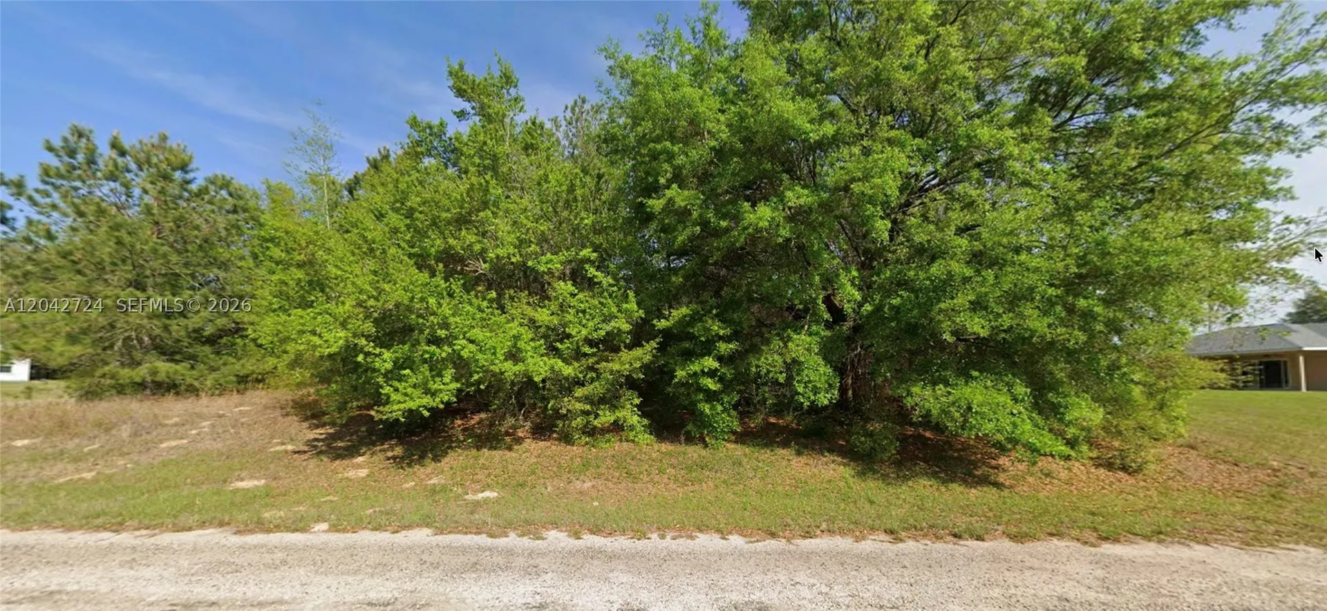 689 E Hope Place Other City - In The State Of Florida FL 34434