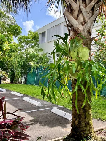 860 NE 78th Street Miami FL 33138