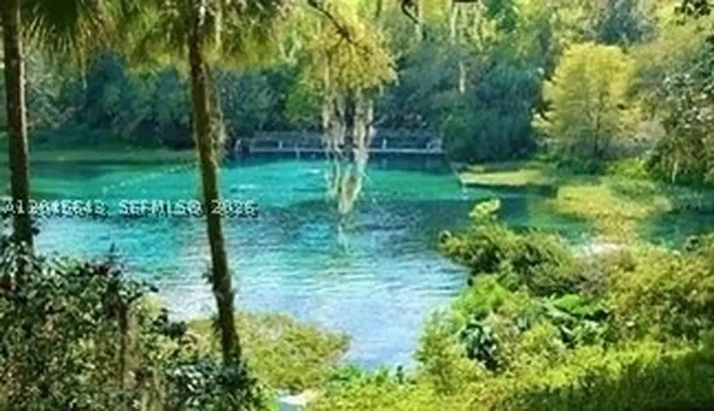 Other City - In The State Of Florida FL 34431