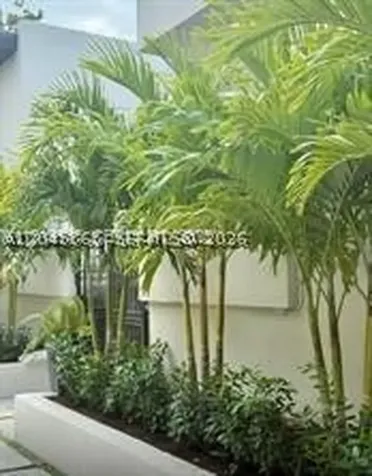 7535 NE 2nd Court Miami FL 33138