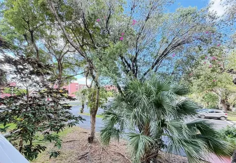 8411 NW 8th Street Miami FL 33126