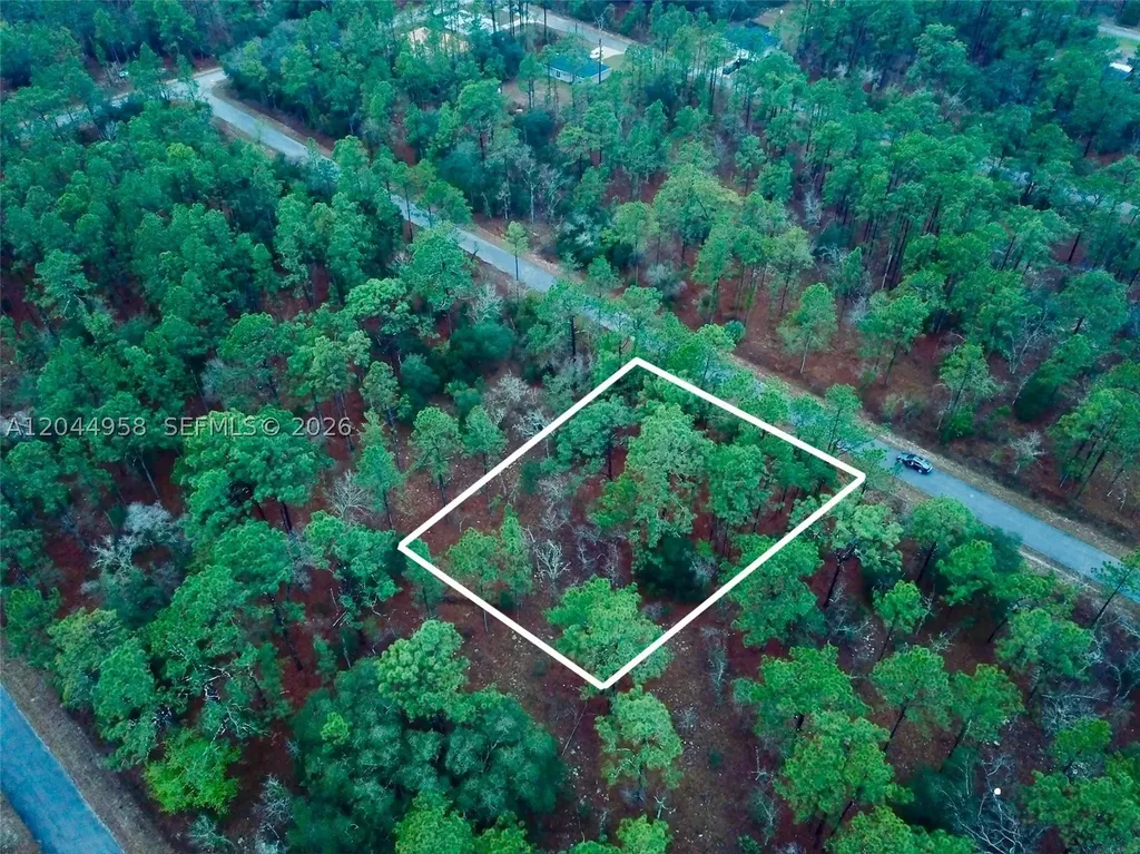 Lot Nearby Narcissus Road Other City - In The State Of Florida FL 34431