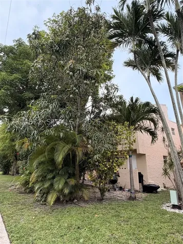 8925 NE 4 Avenue Road Miami Shores FL 33138