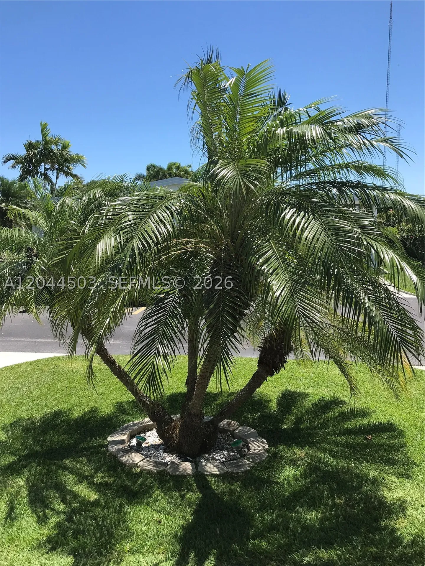 5125 SW 26th Court Hollywood FL 33023