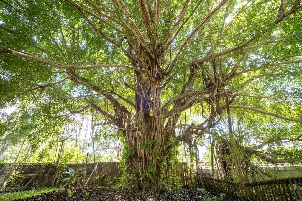 698 NW 7th Avenue Boca Raton FL 33486