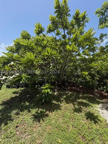 20791 SW 240th Street Homestead FL 33031