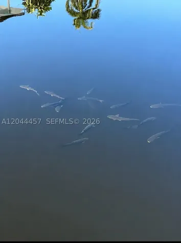 Oakland Park FL 33309