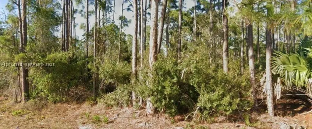 26442 Scham Road Punta Gorda FL 33955