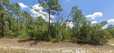 9857 N Lathyrus Terrace Citrus Springs FL 34433