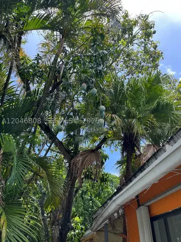 925 NE 207th Terrace Miami FL 33179