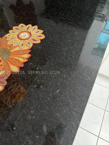 19554 NW 79th Place Hialeah FL 33015