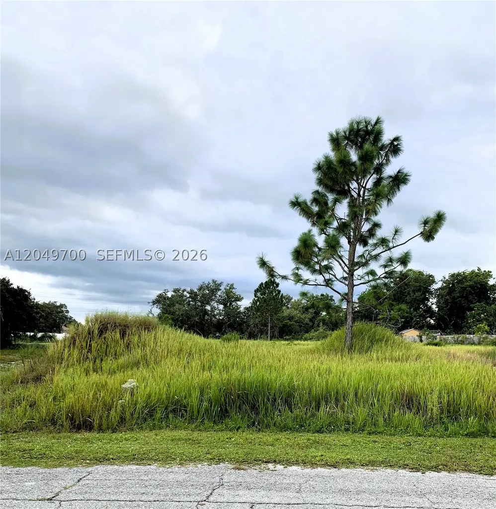 531 St Johns Ct, Kissimmee, Fl 34759 Poinciana FL 34759