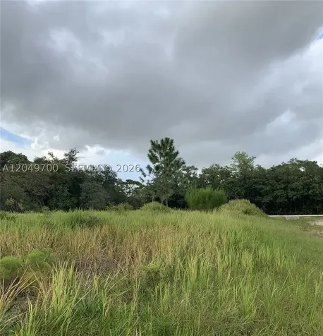 531 St Johns Ct, Kissimmee, Fl 34759 Poinciana FL 34759