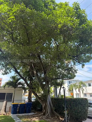 8020 Abbott Avenue Miami Beach FL 33141
