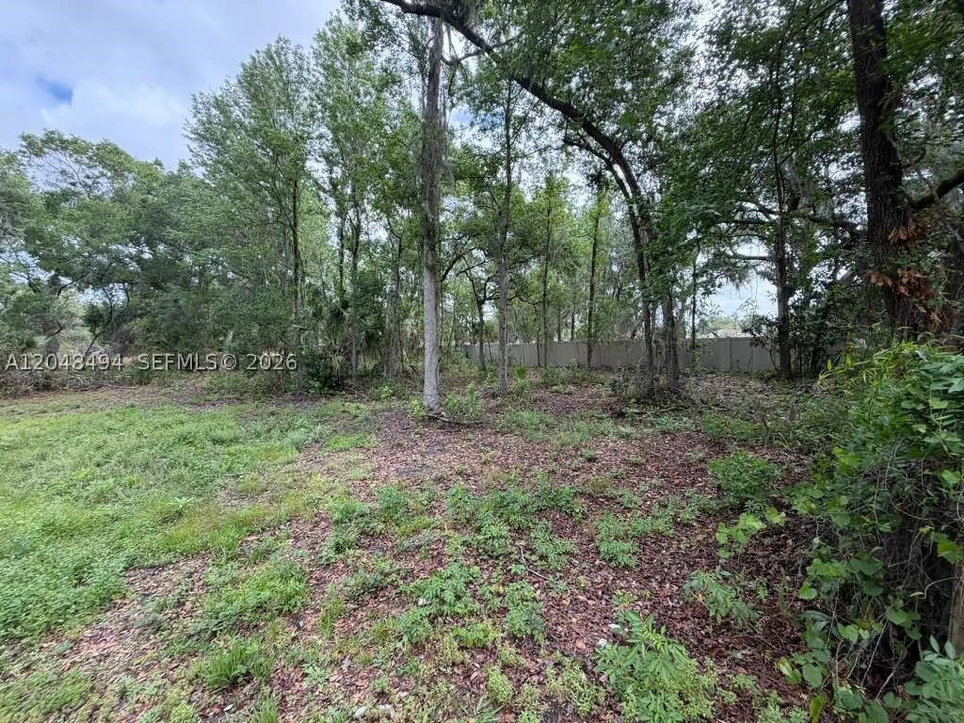 0 Bailey Road Other City - In The State Of Florida FL 33860
