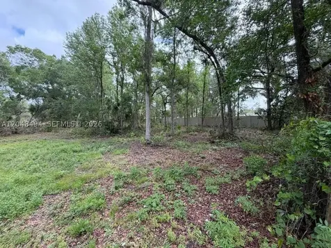 0 Bailey Road Other City - In The State Of Florida FL 33860