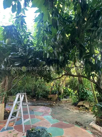 10955 SW 56th Street Miami FL 33165