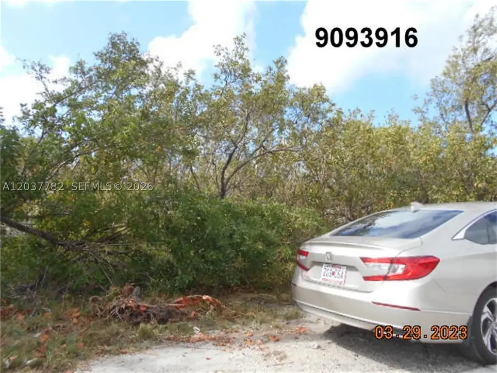 27334 Saint Lucie Lane Big Pine FL 33042