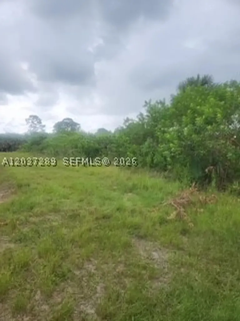 437 Naples Avenue S Lehigh Acres FL 33974