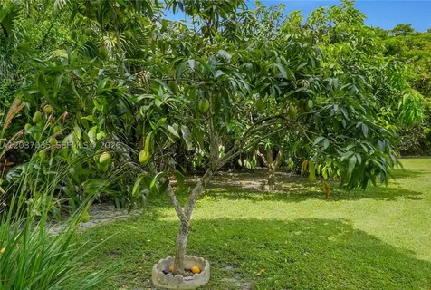 8340 SW 96th Street Miami FL 33156