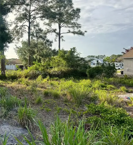 4149 SW Bamberg Street Port St. Lucie FL 34953