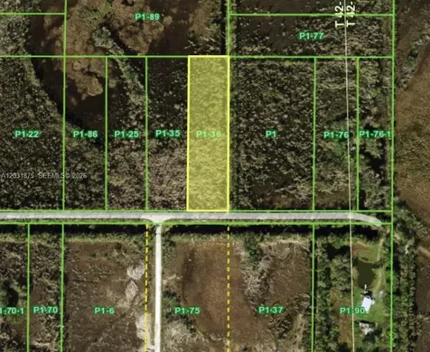 Oil Well Punta Gorda FL 233955