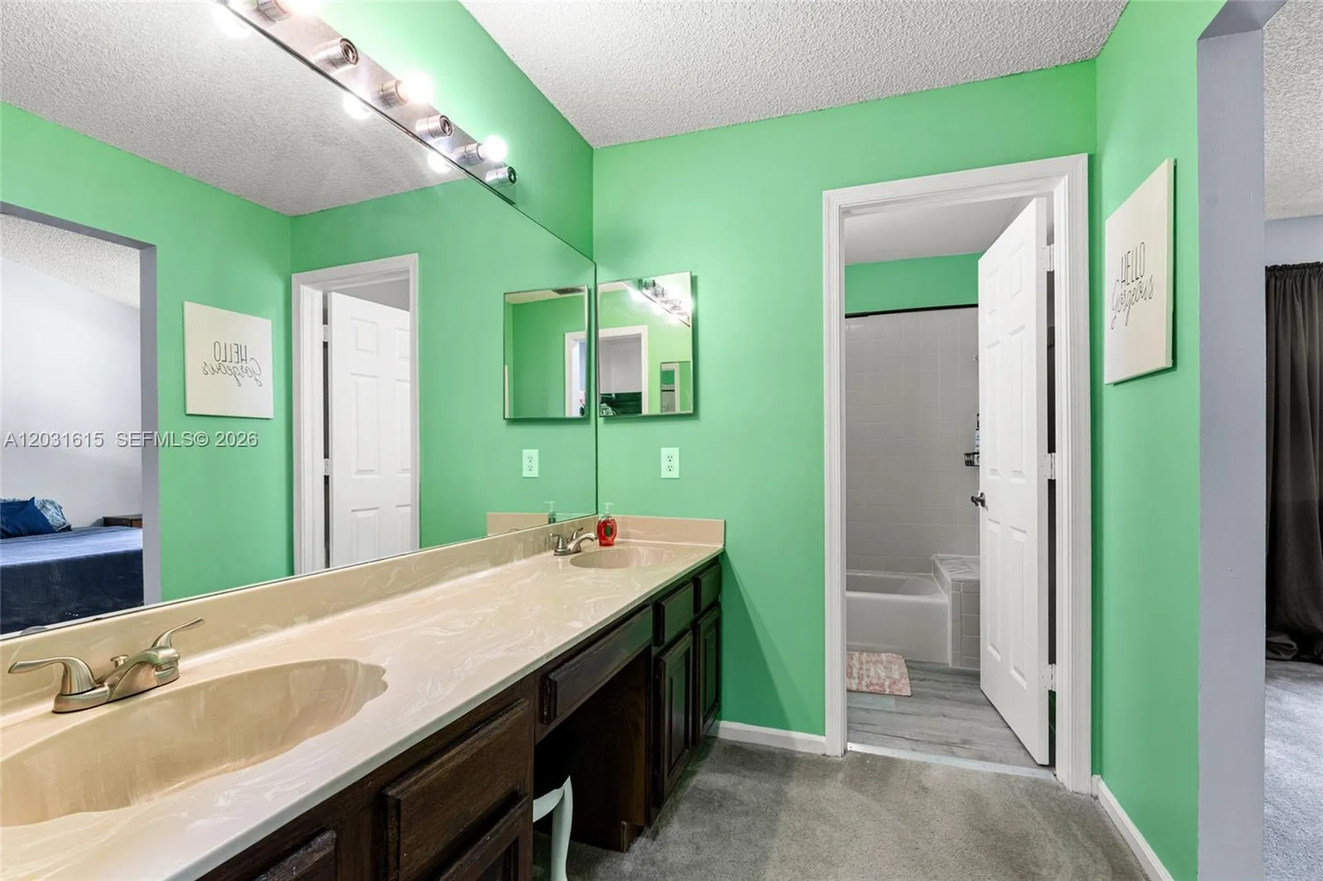 11870 Donlin Drive Wellington FL 33414