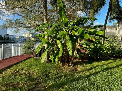 1275 Marseille Drive Miami Beach FL 33141