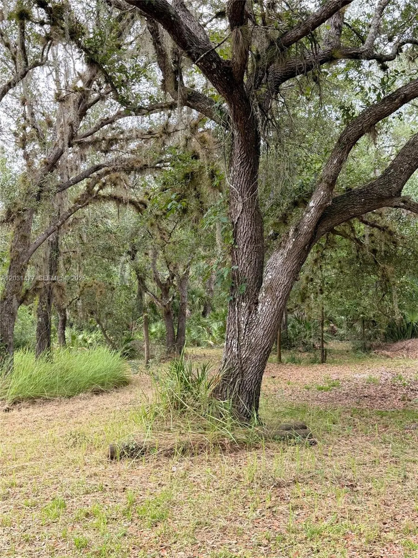 2963 SW Armadillo Trail Other City - In The State Of Florida FL 34266