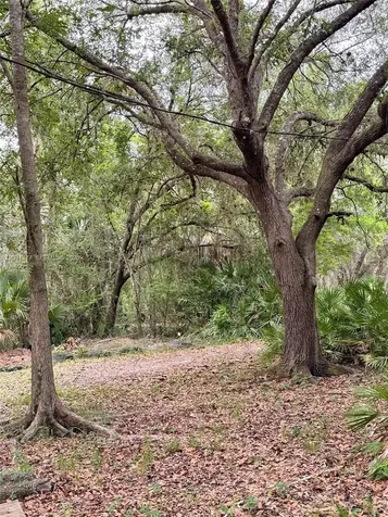 2963 SW Armadillo Trail Other City - In The State Of Florida FL 34266
