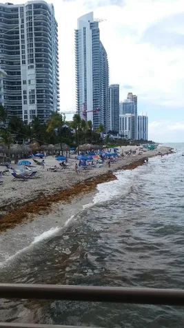 16909 N Bay Road Sunny Isles Beach FL 33160