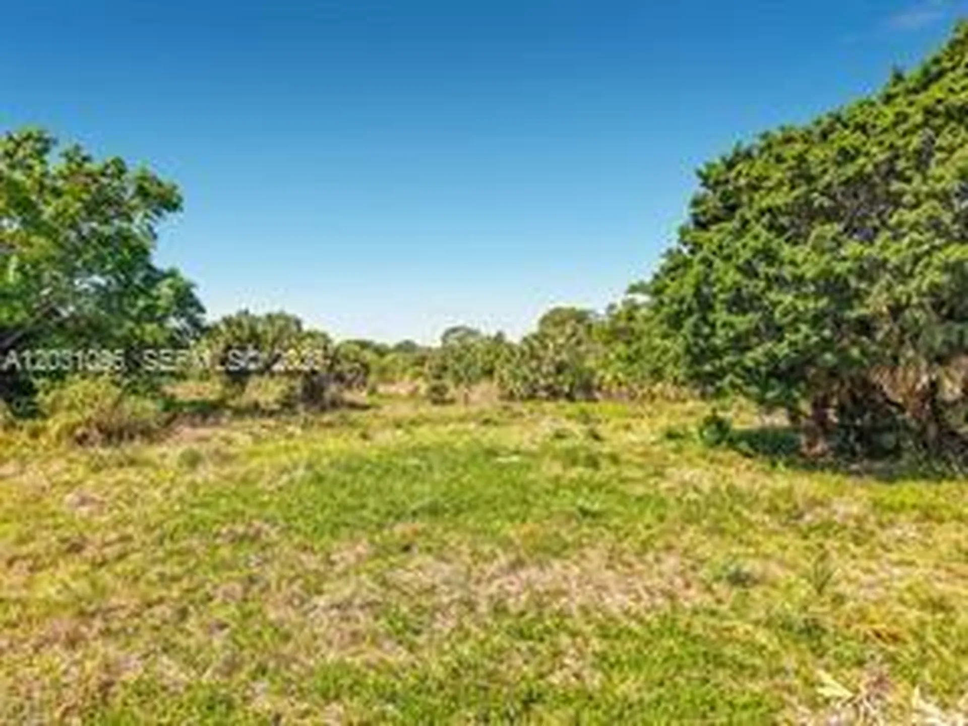 Lake Trafford Road Other City - In The State Of Florida FL 34142