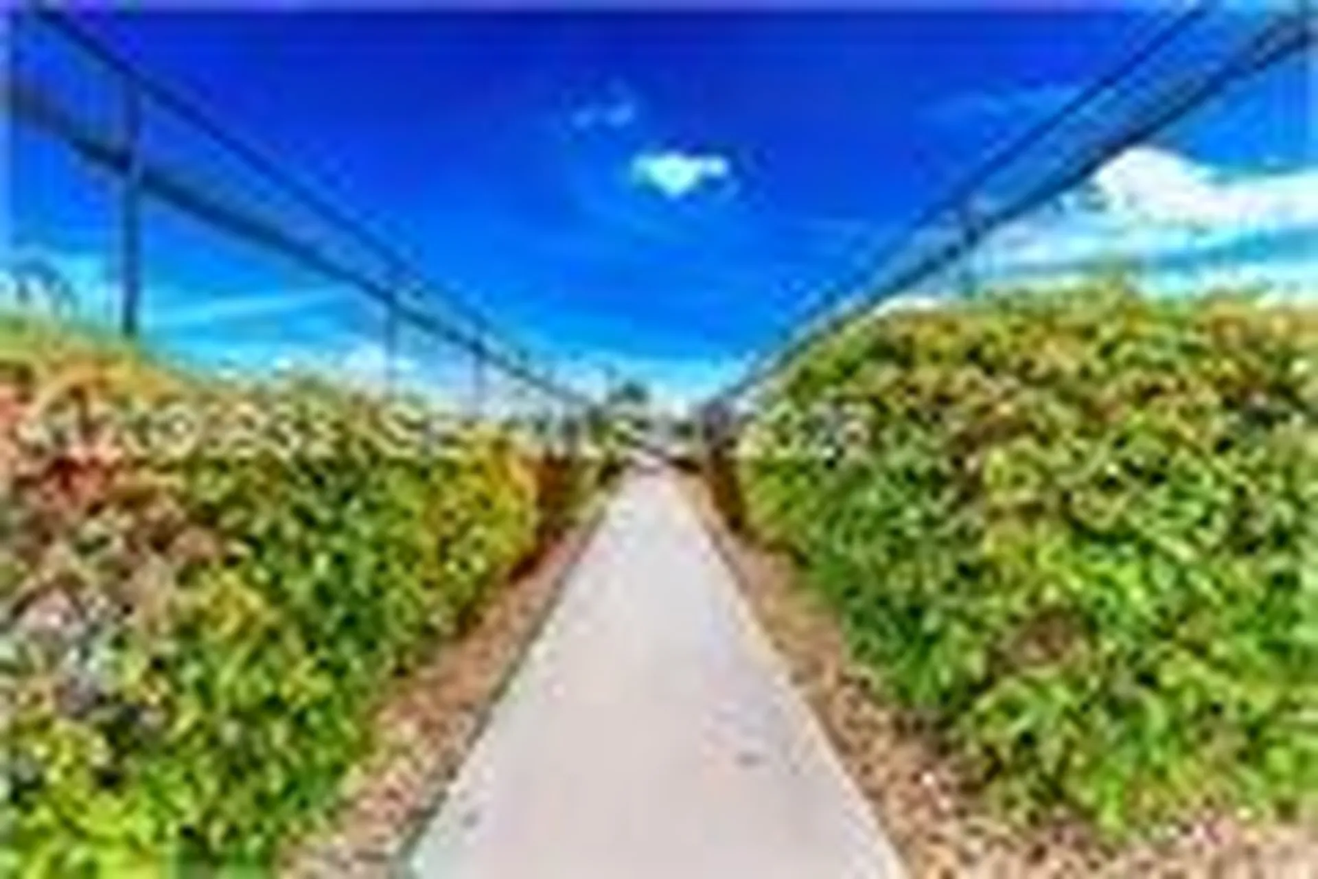 5710 Princess Palm Court Delray Beach FL 33484