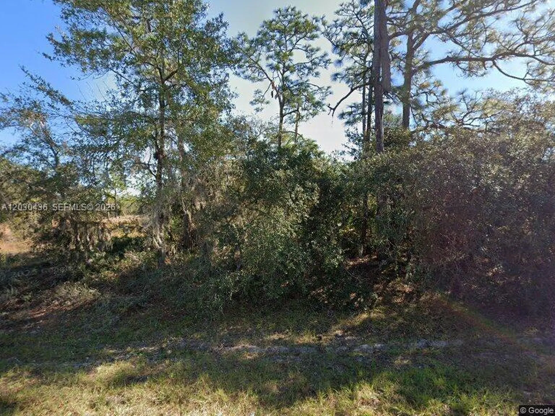 1334 St Augustine Court Other City - In The State Of Florida FL 34759