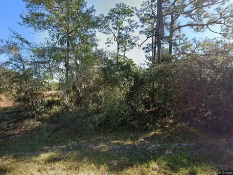 1334 St Augustine Court Other City - In The State Of Florida FL 34759