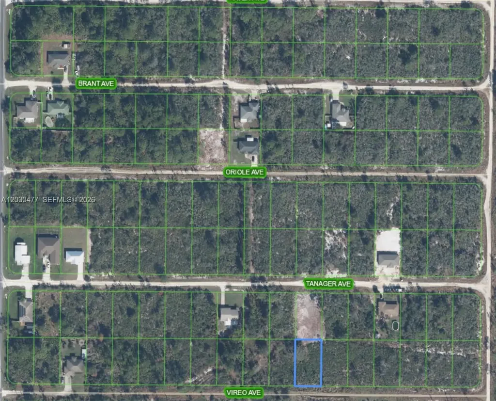 227 Vireo Avenue Sebring FL 33870