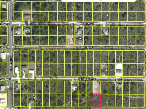 227 Vireo Avenue Sebring FL 33870
