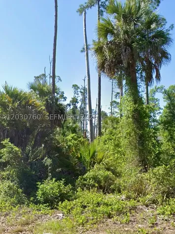 17453 Dudley Avenue Port Charlotte FL 33954