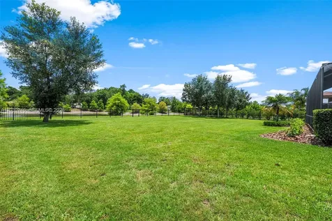 17425 Varona Place Lutz FL 33548