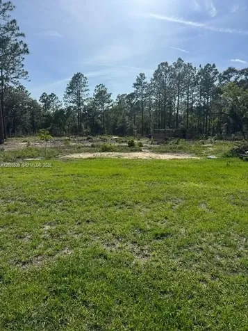1398 SW Breezy Point Drive Ocala FL 34431
