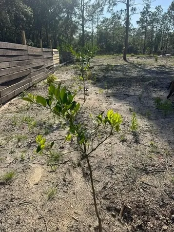 1398 SW Breezy Point Drive Ocala FL 34431