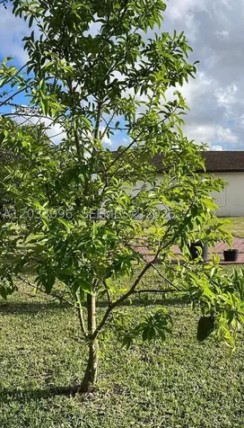 1475 NW 19 Street Homestead FL 33030