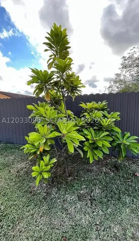 1475 NW 19 Street Homestead FL 33030