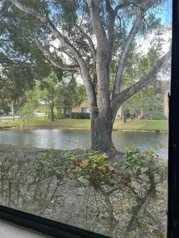 183 Lakeview Drive Weston FL 33326